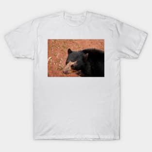 Andean Bear T-Shirt